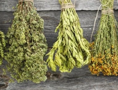 Ουρικό οξύ: Με αυτά τα βότανα θα το «διαλύσετε» (φωτό)